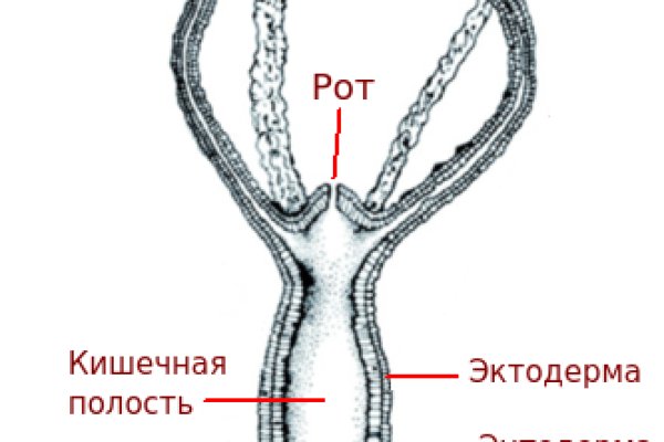 Кракен даркен