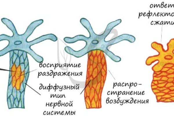 Kraken ссылка kraken link24 info