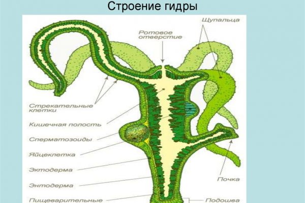 Кракен магазин kraken4am com