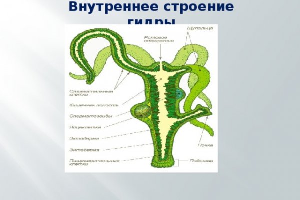 Кракен маркетплейс ссылка на сайт