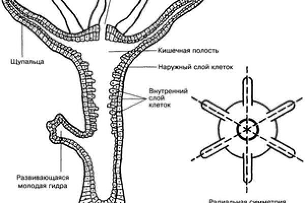 Кракен даркнет ссылка зеркало