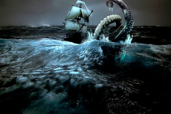 Kraken 20at net