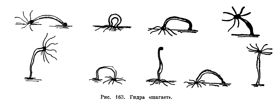 Kraken пользователь не найден при входе